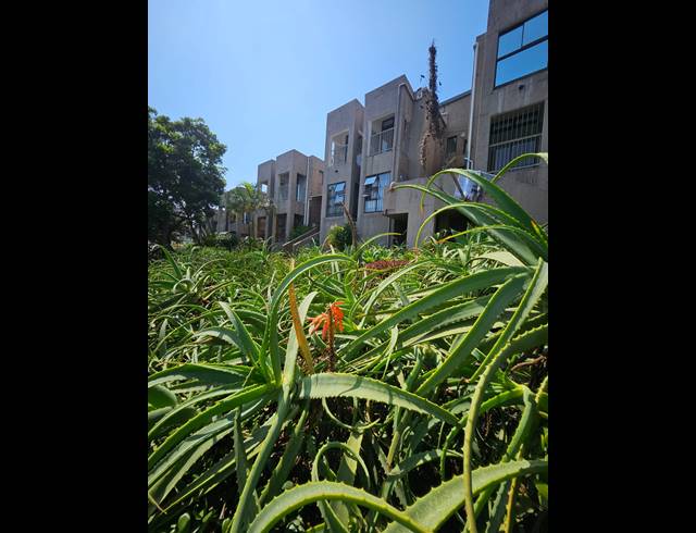 4 BEDROOM APARTMENT RENTED IN TINLEY MANOR